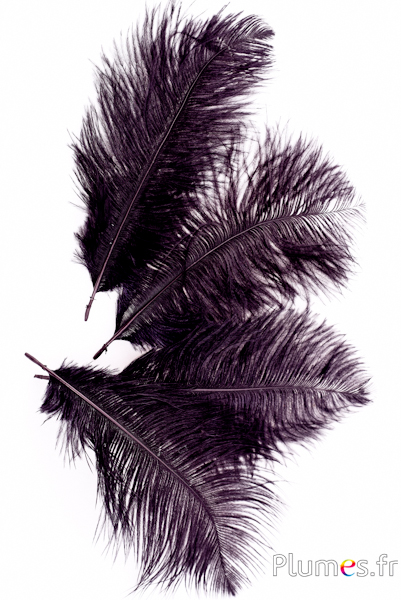 Autruche - 13-18 cm - noir